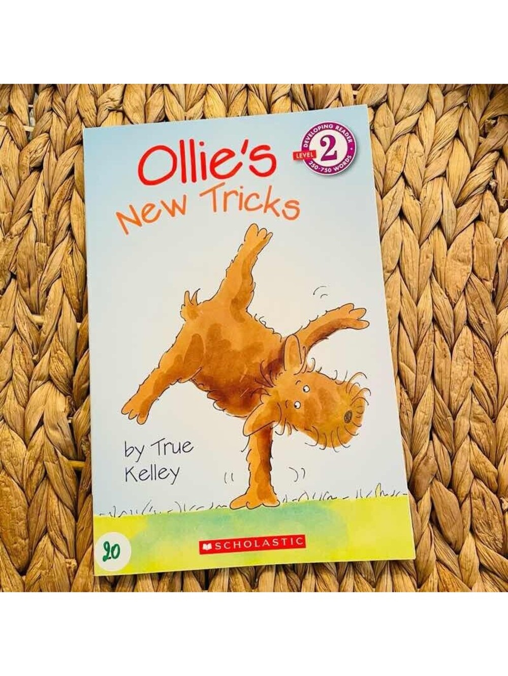 ✅Ollie's New Tricks by True Kelley, Scholastic Reader Level 2 Paperback#️⃣20